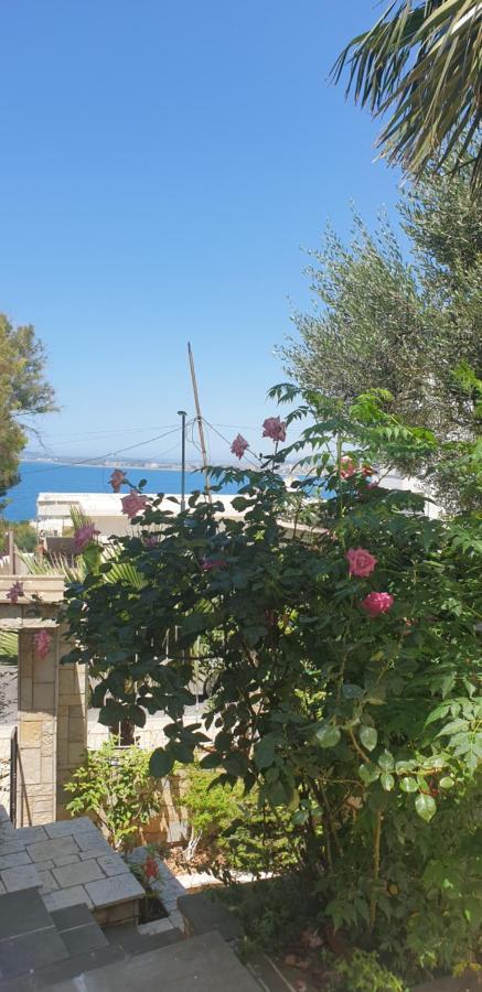 Redsun Apartment Vlorë Екстериор снимка